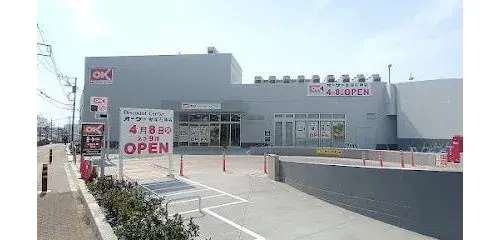 3LDK+S Niiza City Saitama Prefecture (19)