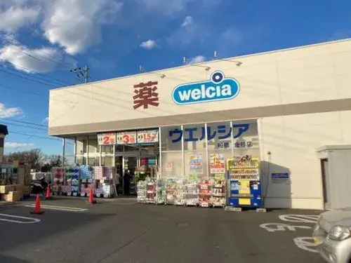 6LDK Funabashi City Chiba Prefecture (19)