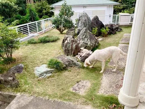 3LDK Property Tateyama City Chiba Prefecture (18)