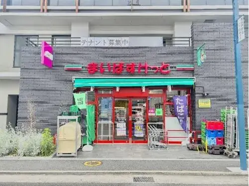 4LDK Property Matsudo City Chiba Prefecture (9)