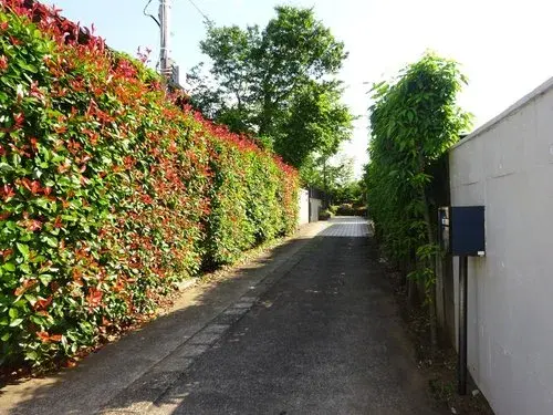 7LDK+2S Property Chiba City Chiba Prefecture (9)