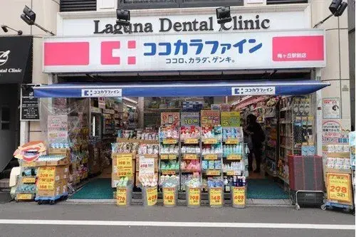 4DK Setagaya Ward Tokyo Property (19)