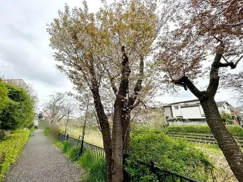 [3LDK Property] Koganei City Tokyo (20)