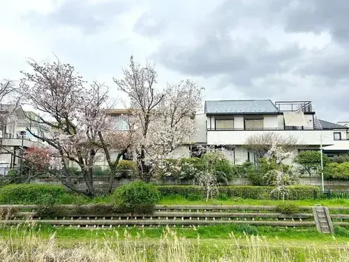 [3LDK Property] Koganei City Tokyo (8)