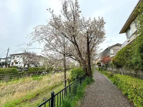 [3LDK Property] Koganei City Tokyo (9)