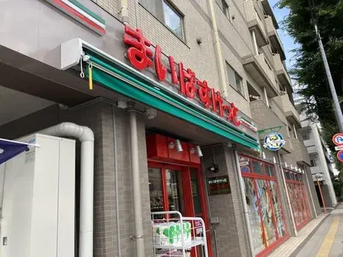 4LDK Property Chofu City Tokyo (11)