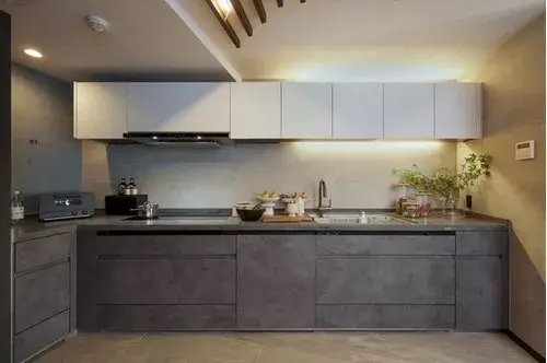2LDK+S Property Suginami-ku Tokyo (15)
