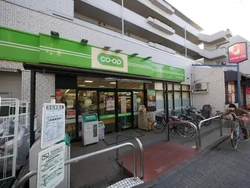2LDK+S Property Suginami-ku Tokyo (19)