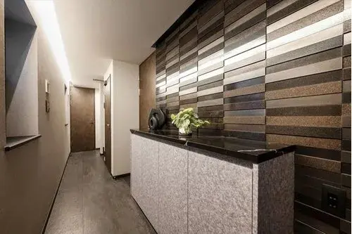 2LDK+S Property Suginami-ku Tokyo (3)