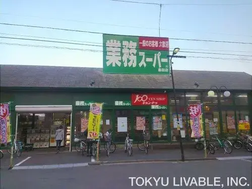 4LDK+S Property Sumida Ward Tokyo (3)