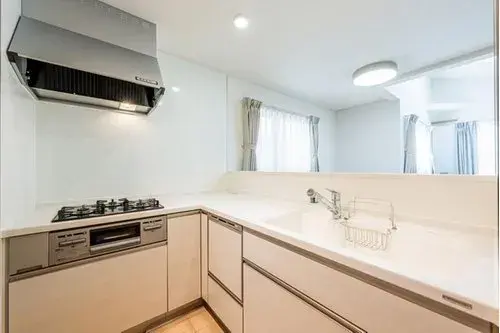 1LDK+S Sumida Ward Tokyo Property (11)