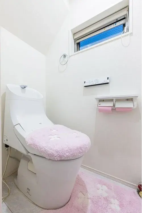 1LDK+S Sumida Ward Tokyo Property (17)