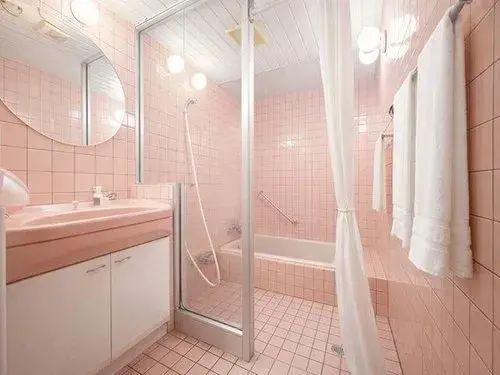 3LDK Property Hachioji City Tokyo (11)