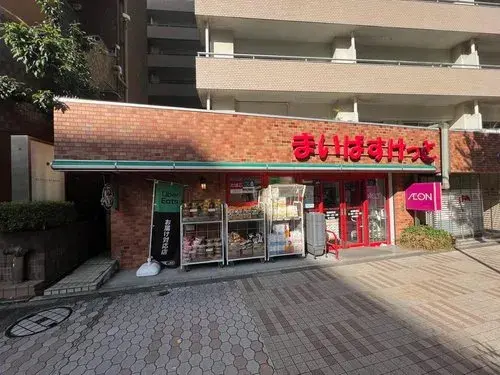 4LDK+S Property Shinagawa-ku Tokyo (15)