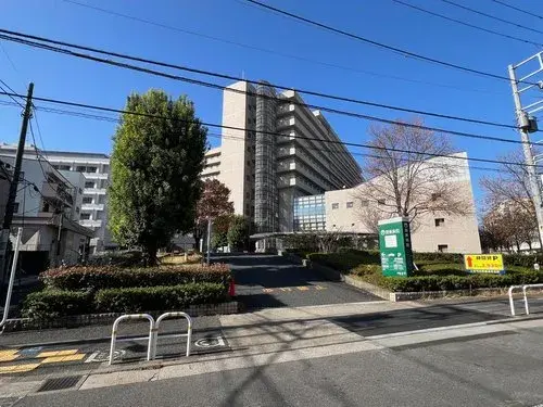 4LDK+S Property Shinagawa-ku Tokyo (6)