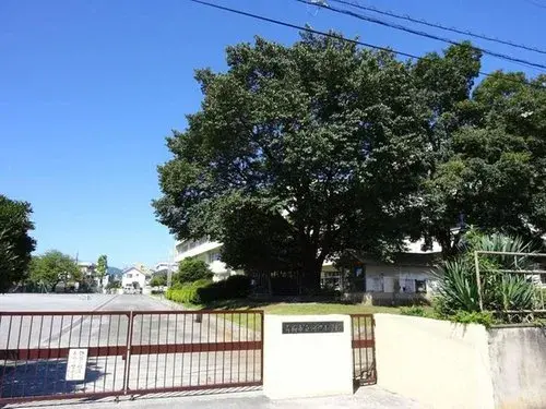 Slide 1