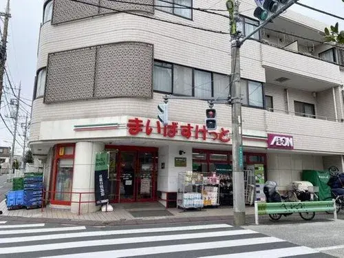 4LDK Property Setagaya-ku Tokyo (15)