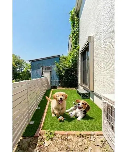 4LDK Property Machida City Tokyo (4)