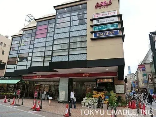 2LDK Setagaya-ku Tokyo Property (11)