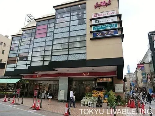 2LDK Setagaya-ku Tokyo Property (12)