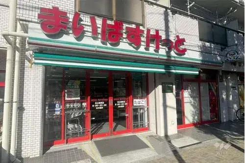 1LDK+S Property Adachi-ku Tokyo (7)