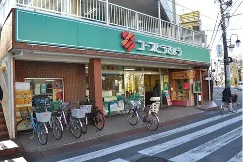 2LDK+S Property Kunitachi City Tokyo Prefecture (15)
