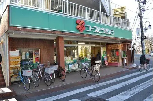 2LDK+S Property Kunitachi City Tokyo Prefecture (10)