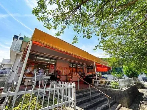[3LDK Property] Yokosuka City, Kanagawa Prefecture (22)