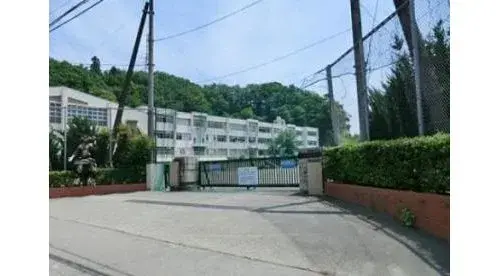 Slide 7