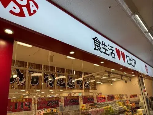 4LDK+S Property Kawasaki City Kanagawa Prefecture (6)