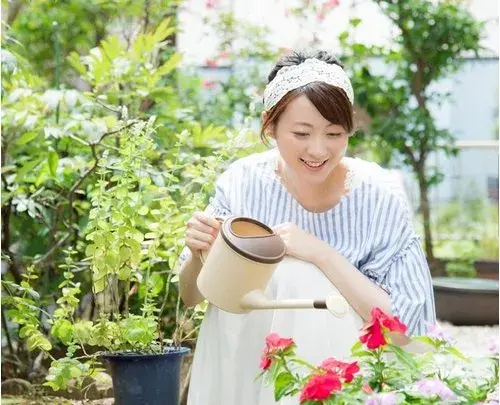 4LDK+S Property Yokohama City Kanagawa Prefecture (39)