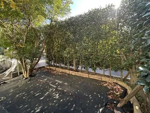 4LDK Property Yokohama City Kanagawa Prefecture (20)