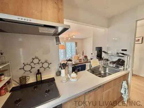 4LDK Property Kawasaki City Kanagawa Prefecture (9)
