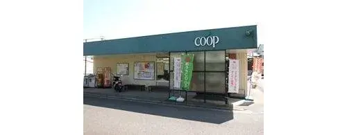 4LDK Property Yokohama City Kanagawa Prefecture (12)