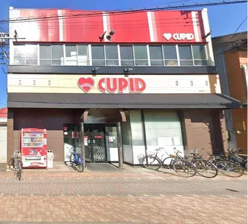 4DK Property Niigata City Niigata Prefecture (7)