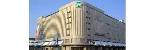 4LDK Property Toyama City Toyama Prefecture (17)