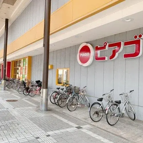 4LDK Property Toyama City Toyama Prefecture (20)