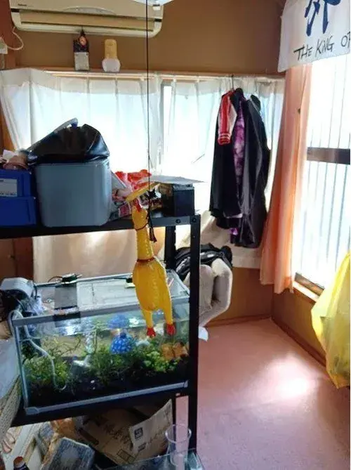 4DK Property Koshu City Yamanashi Prefecture (8)