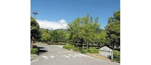 Slide 8