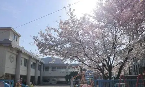 7K Property Kofu City Yamanashi Prefecture (12)