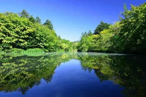 3LDK Property Karuizawa-machi Nagano-ken (13)