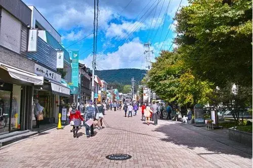 3LDK Property Karuizawa-machi Nagano-ken (15)