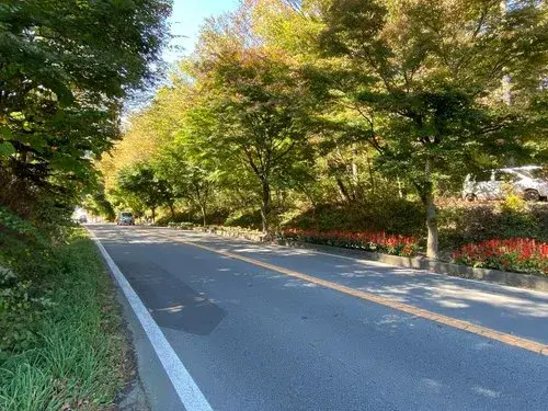 4K+S Property Karuizawa Town, Kitasaku District Nagano Prefecture (11)