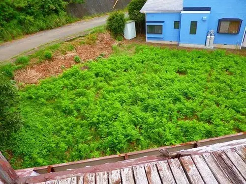 3LDK Property Ito City Shizuoka Prefecture (17)