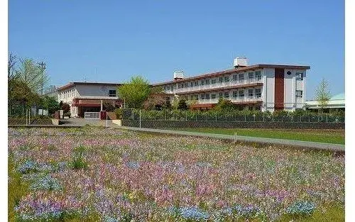 Slide 15