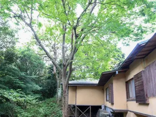 4LDK Property Ito City Shizuoka Prefecture (4)