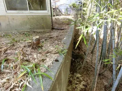 3LDK+S Property Izunokuni City Shizuoka Prefecture (6)