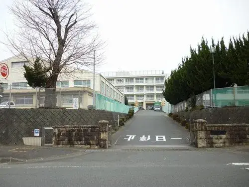 Slide 11