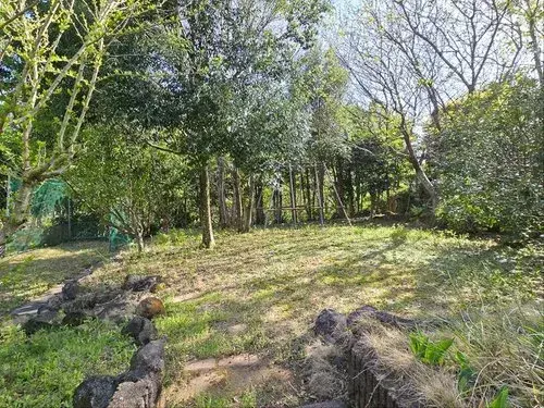 2LDK Property Ito City Shizuoka Prefecture (18)