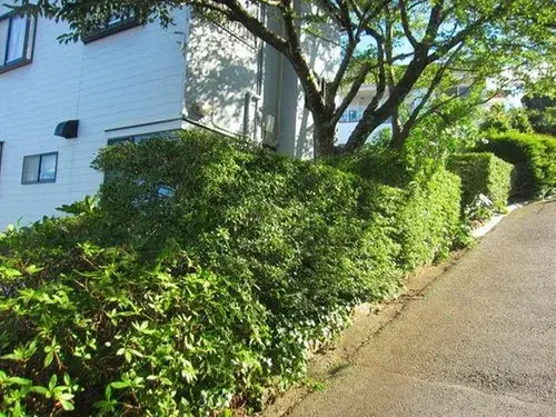 3LDK+S Property Ito City Shizuoka Prefecture (19)